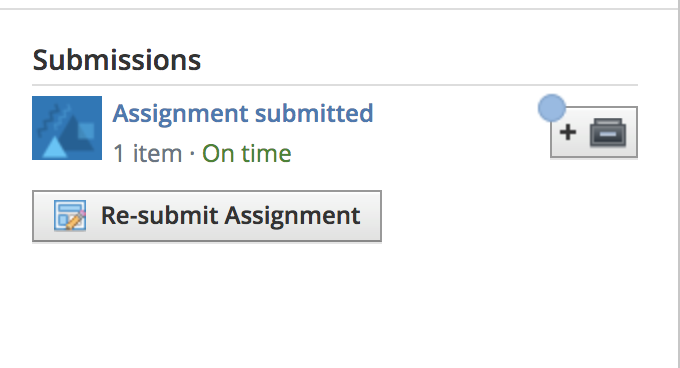assignment_submissions_modal_in_schoology_after_a_student_successfully_submits_an_assignement.png