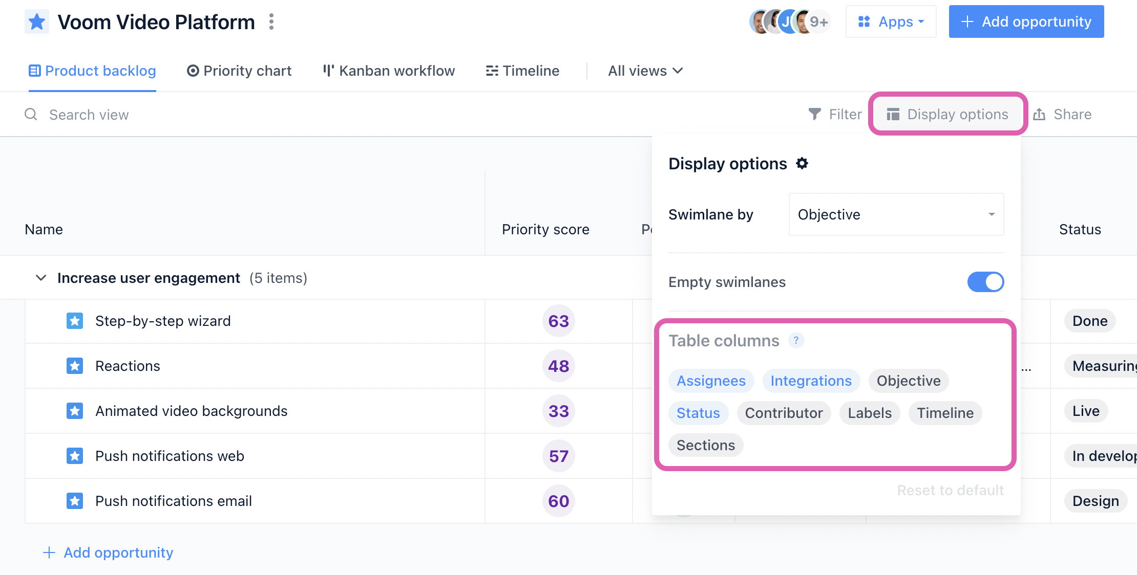 display-options-share-view.png